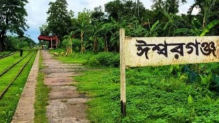 ২৫ বছরের নাতির বৃদ্ধা দাদির বিয়ে